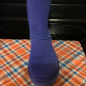 Blue Bailey Uggs